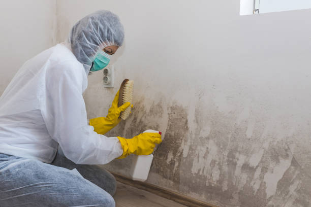 Best Mold Testing  in Tomahawk, WI