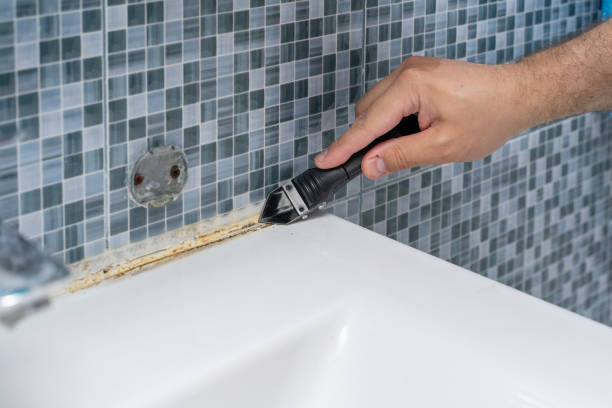 Best Affordable Mold Removal  in Tomahawk, WI